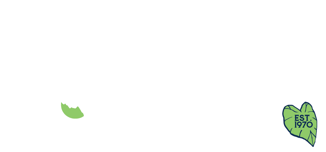 The Hanalei Dolphin
